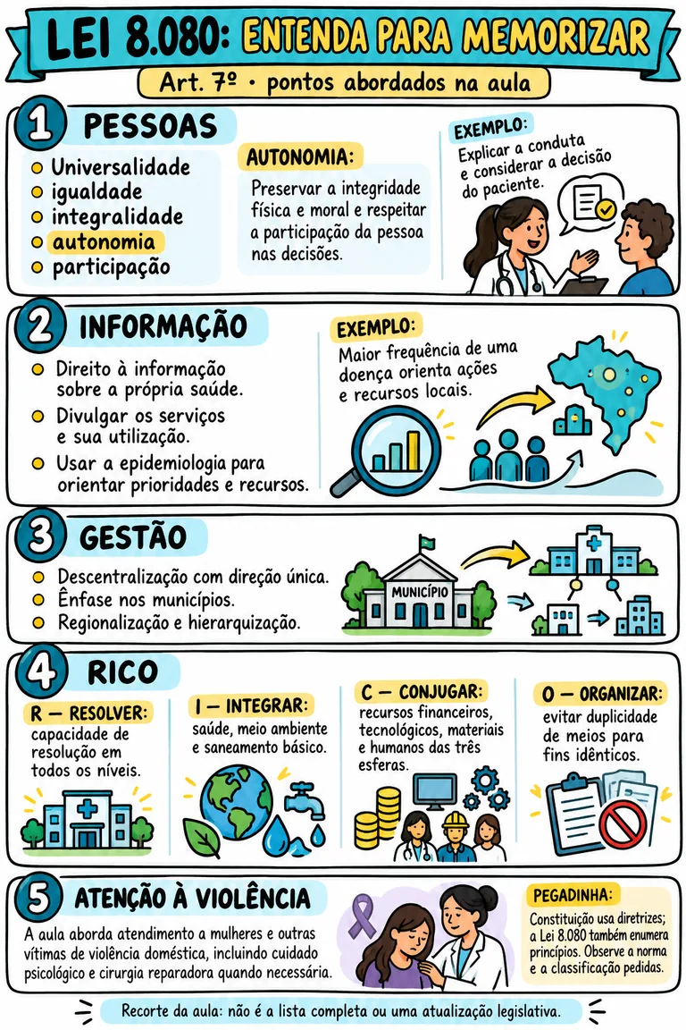 Resumo ilustrado: Lei 8.080 — entenda para memorizar