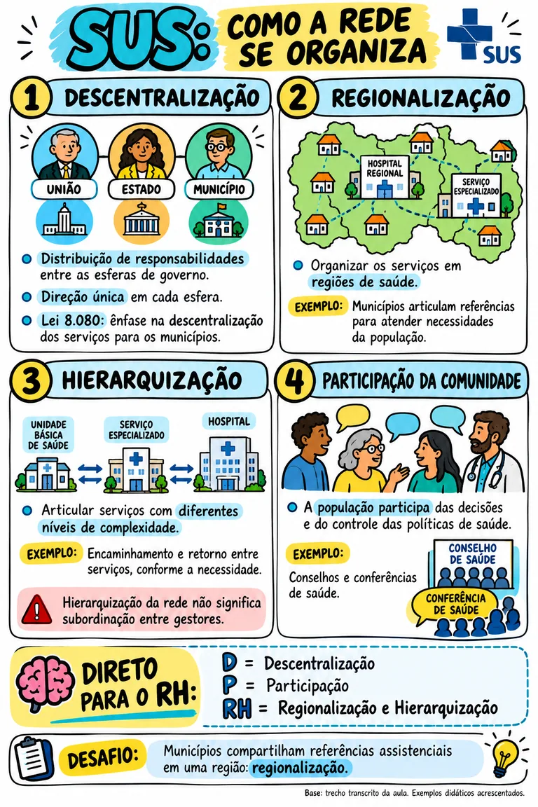 Resumo ilustrado: SUS — como a rede se organiza